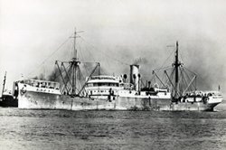 THE SHIPS PROJECT By Mallory Haas THE SHIPS PROJECT By Mallory Haas