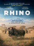 Rhino Rhino